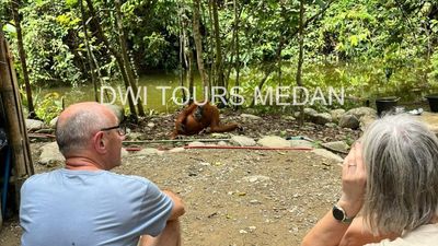 3D2N Medan – Bukit Lawang – Tangkahan: Jungle Trekking, Wildlife Adventure (Beyond the Trek) - Image - 13668